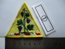 【送料無料】コネチカット州 空軍州兵Connecticut Air National Guardパッチ刺繍ワッペン記章/空中民兵CT ANG部隊章ANGアメリカ軍①M27_画像8