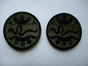 【送料無料・2枚セット】アメリカ陸軍116th Cavalry Brigade Combat Team刺繍ワッペン/蛇コンバット米軍ミリタリー部隊章U.S. Army①M28