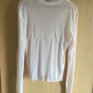 フェリシモ シースルートップス ピンクベージュ