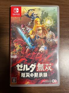 Nintendo Switch ゼルダ無双 厄災の黙示録 ニンテンドースイッチ Switchソフト 任天堂Switch