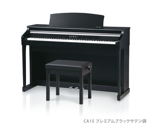 * popular electronic piano rental with guarantee Y1800 ( tax-excluded )! Osaka, New Japan myujik!