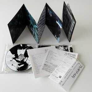 【帯付 CD+DVD国内盤】アンダーワールド / オブリヴィオン・ウィズ・ベルズ (TRCP11-12) Underworld / Oblivion With Bellsの画像4