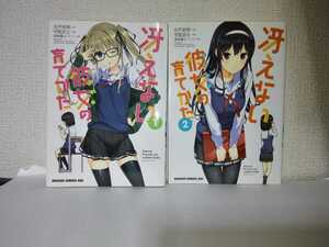 冴えない彼女の育て方 1～3巻 富士見書房 丸戸史明 守姫武士 ドラゴンコミックスエイジ