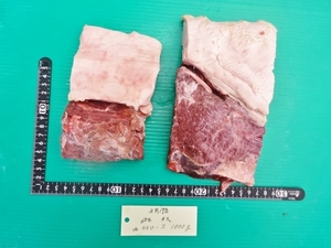 福岡産天然猪肉　カタロース　（3）　オス　1000ｇ