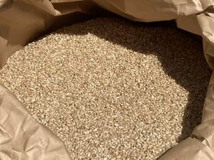 【低農薬 70%削減】くず米　令和3年度三重県産コシヒカリ　玄米　約10kg(箱重量込み)