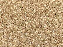 【低農薬 70%削減】くず米　令和3年度三重県産コシヒカリ　玄米　約10kg(箱重量込み)_画像2