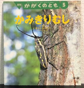 ◆当時物◆美品「かみきりむし」かがくのとも　福音館　レトロ絵本　1999年　希少本　いまもりみつひこ