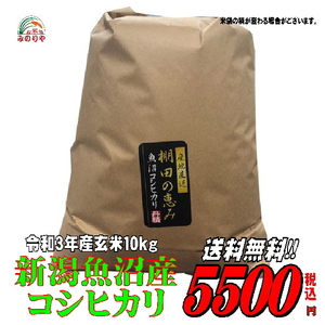 令和３年産 魚沼産コシヒカリ10kg うまい米 米専門 みのりや（玄米）ポイント消化 送料無料