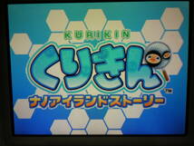 DS　くりきん　ナノアイランドストーリー　(ソフトのみ＋説明書付)_画像2