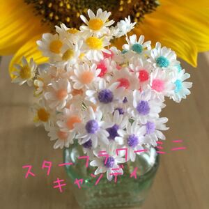 スターフラワーミニ 加工花材 キャンディ 50本+α