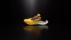 未使用品 NIKE AIR ZOOM PEGASUS 38 DO2423 739