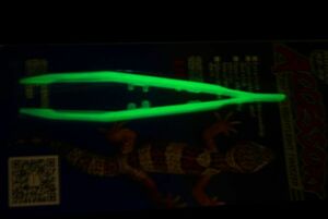 暗闇で光る　爬虫類　ピンセット　1個 両生類 ヒョウモン 夜行性ヤモリ フトアゴ コオロギ ミルワーム　フタホシ　イエコ　レッドローチ