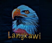 ワシ　鷲　イーグル　EAGLE Tシャツ　Lサイズ 　動物Tシャツ　鳥　バイカー_画像1