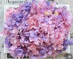  preserved flower pillar mid a hydrangea 20g rom and rear (before and after) pink purple 