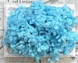 Консервированные цветы  консервированный цветок стойка mid a гортензия 20g передний и задний (до и после) aqua blue купить NAYAHOO.RU