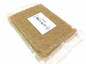 令和3年産【丹波産】コシヒカリ 玄米 -特別栽培米- “星ひかり” 450g