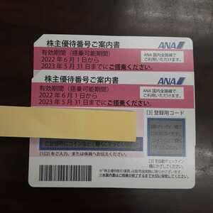 【大黒屋】ANA株主優待券2枚 有効期限2023年5月31日まで