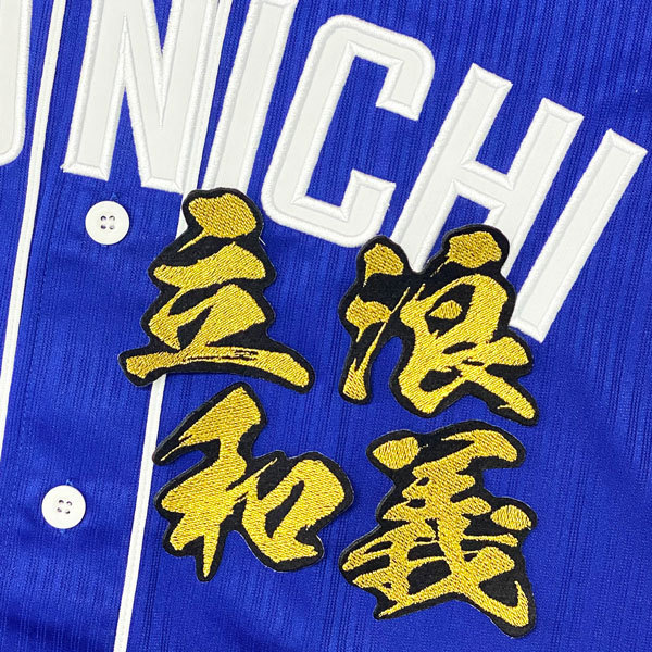 2025年最新】Yahoo!オークション -立浪 ユニフォームの中古品 2025年最新】Yahoo!オークション -立浪 ユニフォームの中古品