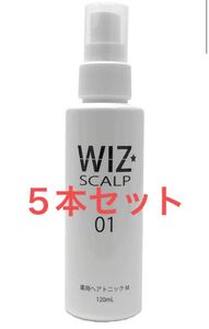 ウィズスカルプ01 WIZ SCALP 01 育毛剤 医薬部外品 男性用 育毛トニック 発毛促進 120ml 5本セット