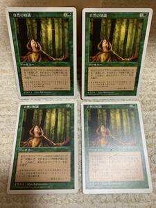 ５版　自然の知識/Nature's Lore　日本語版　４枚セット　プレイド品