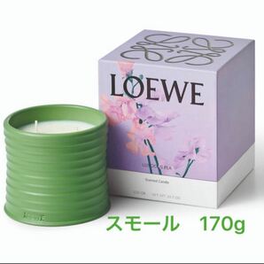 Loewe ロエベ　キャンドル　ラシャスピー　新品未使用　170g