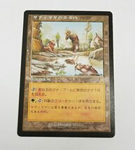 現状品 MTG ヤヴィマヤのうろ穴 日 1枚 ウルザズ・デスティニー マジック・ザ・ギャザリング_画像1