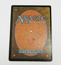 現状品 MTG ヤヴィマヤのうろ穴 日 1枚 ウルザズ・デスティニー マジック・ザ・ギャザリング_画像2