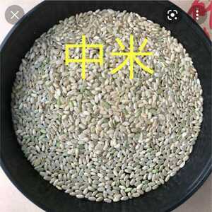 令和3年産 魚沼米 中米 玄米 20キロ
