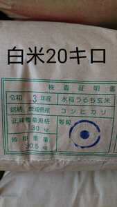 茨城県産コシヒカリ白米20キロ(小分け不可)