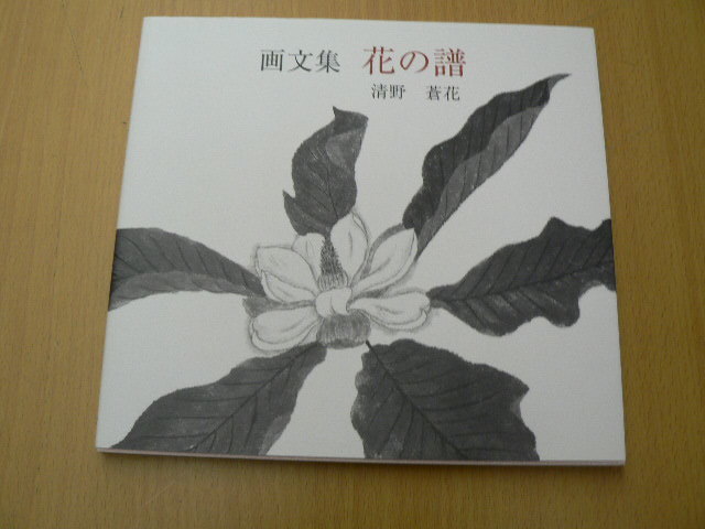 Picture book Flower Song QⅡ, Painting, Art Book, Collection, Art Book