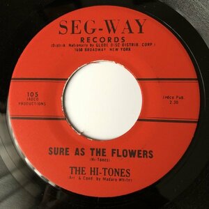 US DooWop Repro 45 / HI-TONES (SEG-WAY)