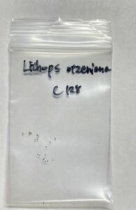 【ナンバー付き種子】リトープス オツェニアナC128(大津絵)20粒〈多肉植物、メセン〉
