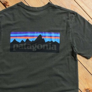 USA古着 Patagonia パタゴニア 半袖Tシャツ メンズ Sサイズ 女性着用可能 ブランドロゴ アウトドア キャンプ レジャー アメリカ仕入 T1528