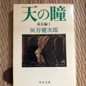 【毎週末倍! 倍! ストア参加】 天の瞳 成長編1/灰谷健次郎 【参加日程はお店TOPで】