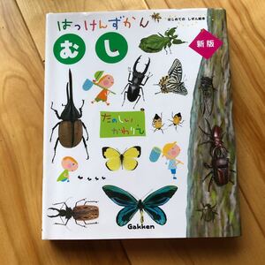 はじめての 自然絵本 はっけんずかん むし 学研