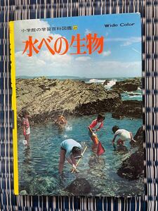 水べの生物　小学館の学習百科図鑑28 ワイドカラー