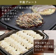 アイリスオーヤマ ホットプレート 煙が出にくい プレート2枚(平面 + 焼肉) ヘルシー 蓋付き ブラック APA-136-B_画像4