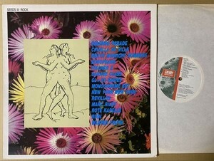 試聴 New York New York ネオアコ ジャイヴ Roger Wilson Said 収録 コンピ Seed3 LP Glaxo Babies Monochrome Set オルガンバー ロンナイ