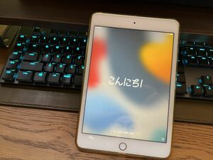 【中古超美品】 iPad mini5(第５世代) Wifi＋Cellular 256GB Apple ゴールド SIMロック解除済み