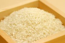 2021年産 新米 キヌヒカリ 玄米（白米可）30㎏　減農薬有機肥料栽培です。　ご希望があれば精米もしますよ。_画像1