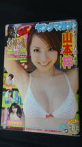 ヤングマガジン 2010年5月17日号 no.21/22 山本梓/荒井萌/横山ルリカ/川村ゆきえ_画像1