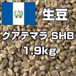 【コーヒー生豆】グアテマラ SHB 1.9kg　 ※送料無料