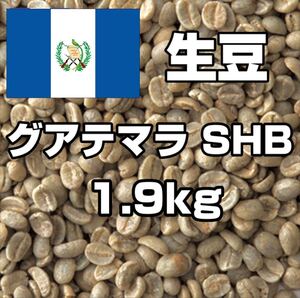 【コーヒー生豆】グアテマラ SHB 1.9kg ※送料無料