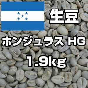 【コーヒー生豆】ホンジュラス HG 1.9kg　 ※送料無料