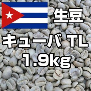 コーヒー生豆　キューバ TL　1.9kg 【送料無料】