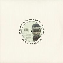 試聴 Cunnie Williams Feat. Heavy D. - A World Celebration [12inch] Peppermint Jam GER 1999 House_画像2