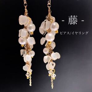 藤 ピアス / イヤリング