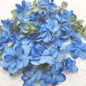 ドライフラワー*紫陽花*てまりてまり*