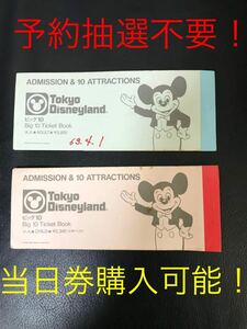 東京ディズニーランド ビッグ10 チケット　パスポート　２枚　送料無料