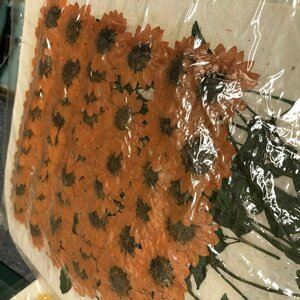送料無料☆本物 押し花 素材 ハンドメイド 花材 200枚　押し花　ミニヒマワリ オレンジ染 ひまわり